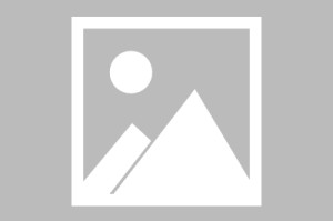 大乐透开奖结果-【布鲁克林网事】复盘网鹿：最强KD和托管模式的纳什